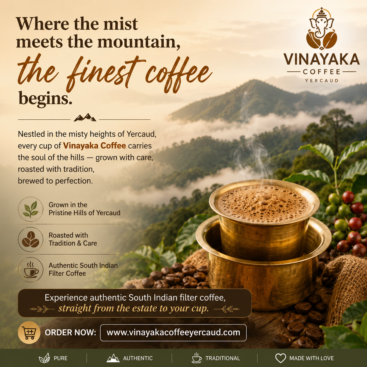 Where the mist meets the mountain — the finest Vinayaka Coffee begins in Yercaud
